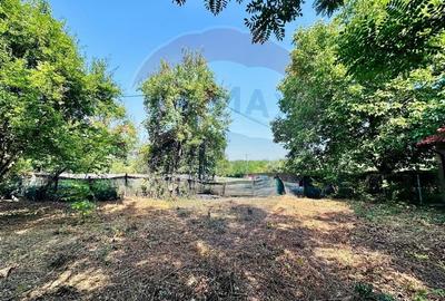 Teren intravilan 1500mp in Livedea, Ialomita - 11