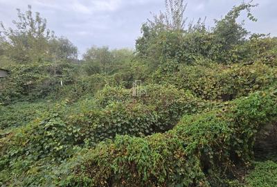 Casă cu 4 camere cu Teren 531 Mp în Sighișoara - 1