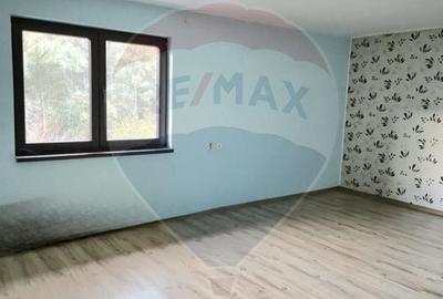 Casa / Vila cu 7 camere de vanzare - 17