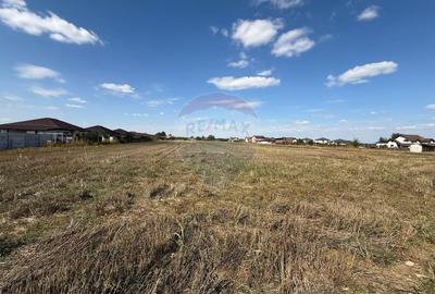 Vand teren intravilan 10.000 mp in Sabareni - 5