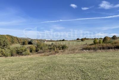 Teren agricol intravilan de 842 mp, în Rășinari - 3