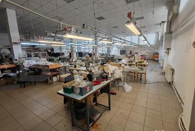 Spațiu comercial, de 400 mp, în Jibou - 4