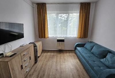 Garsonieră nedecomandată în Noua - 1
