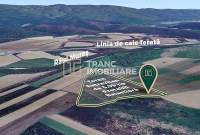 Teren extravilan de 59900 mp, în Ususău - 2