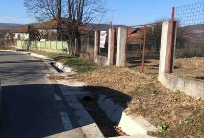 Teren de 3000 mp, în Săsenii Vechi - 6