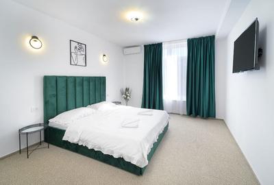 Hotel / Business / Timisoara - 4
