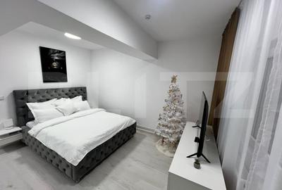 Garsonieră semidecomandată, mobilată în Cornitoiu - 2