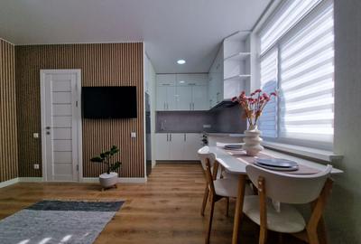 Garsoniera de inchiriat in zona Victoriei - 1