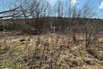 Teren de 2841 mp, în Făget