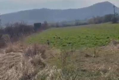 Teren de 2300 mp, în Viișoara - 3
