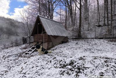 Casa de vacanta, cu lac, 5640 mp teren, Huta, com. Chiuiesti, jud. Cluj - 43
