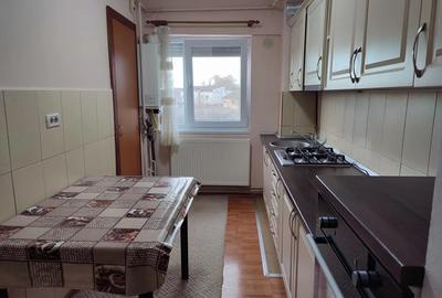Apartament cu 2 camere in Ineu, Arad - 2