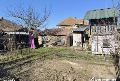 Casă cu 2 camere în Sânnicoară - 12