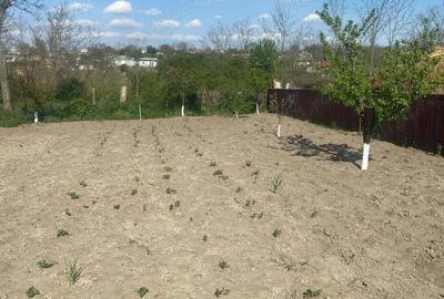 Casă în Central - 4