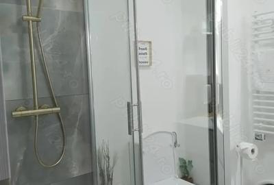 Afacere func?ionala - ap 2 camere regim hotelier Baile Felix - 5