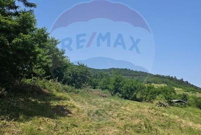 Teren  intravilan  de vanzare Oras  Saliste  Strada Livezii Jud. Sibiu - 8