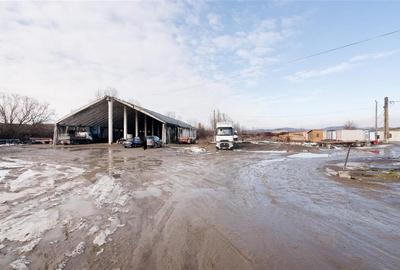 RECO . Proprietate industriala Tileagd . - 7