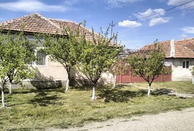 Casă cu 3 camere în Susag