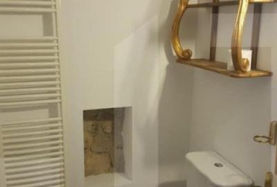 Spatiu in Piata Unirii cu potential pentru investitie - 4