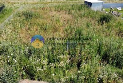 TEREN intravilan de vanzare Dumbrava Rosie- Izvoare - 4
