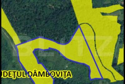 Teren extravilan, 16 ha cu padure ?i vedere panoramica ?? - 1