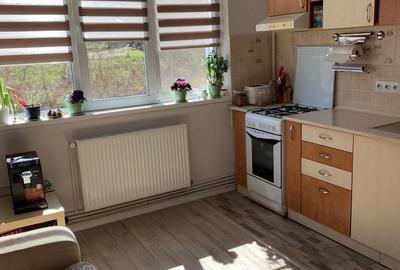 Garsonieră decomandată, mobilată în Gruia - 2