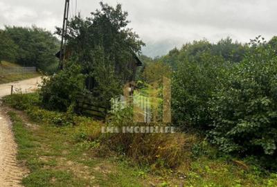 Teren intravilan Sinca Noua - 6