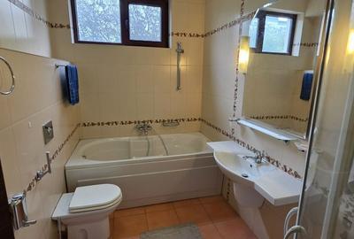 Baneasa Teisani vila 7 camere teren 1000 mp - 32