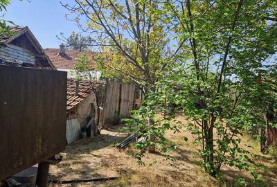 Casă cu 5 camere cu Teren 3937 Mp în Central