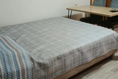 Garsonieră decomandată în Far - 12