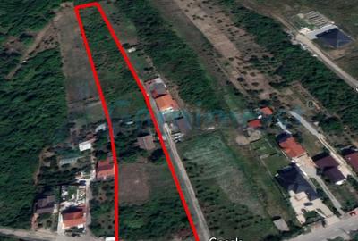 Teren Construcții intravilan de 8454 mp, în Săldăbagiu de Munte - 2