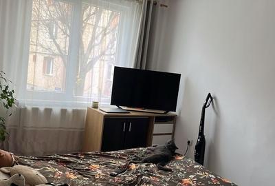 Apartament 2 camere renovat, mobilat si utilat - 6