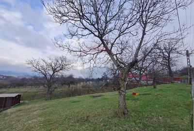 Teren de 1600 mp, în Păulești - 3