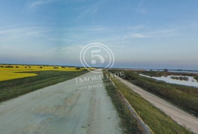 Teren agricol intravilan de 4472 mp, în Cornetu - 6