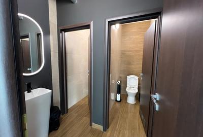 Spatiu comercial Buna Ziua, 200 mp. - 11