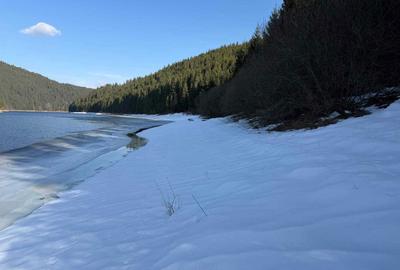 Teren de 10146 mp, în Giurcuța de Sus - 1