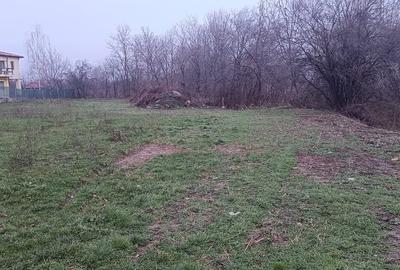 Teren Construcții intravilan de 1560 mp, în Bobolia - 4