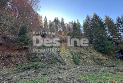 Teren Construcții extravilan de 2882 mp, în Podu Dâmboviței - 6