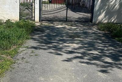 Casă cu Teren 6000 Mp în Șandra - 1