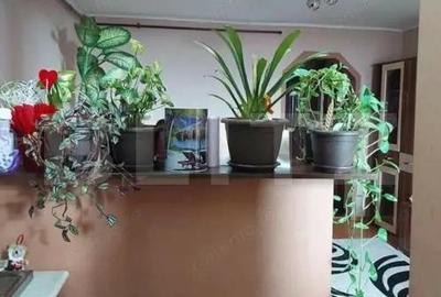 Garsoniera 28 mp zona Burdea - 6