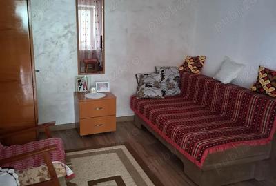 Casă cu 3 camere cu Teren 434 Mp în Ceremac - 10