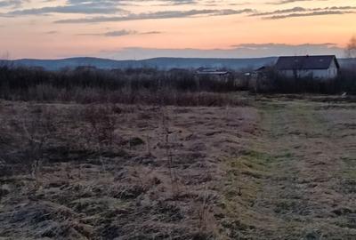 Spațiu comercial, în Merișor - 1