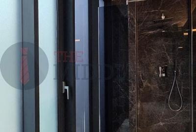 Apartament de lux cu terasă și vedere directă la Parcul Herăstrău - 7