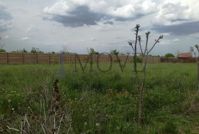 Teren pe malul Lacului Buftea - Crevedia - 13