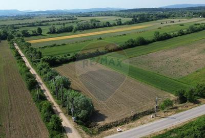 Teren Intravilan de Vanzare - Parcelabil - 1