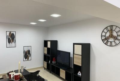 Inchiriere 3 cam Timpuri Noi - 2