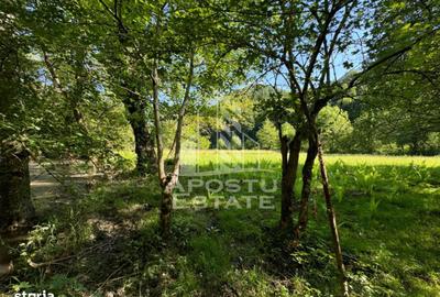 Spațiu comercial, în Groș - 6