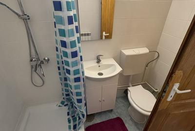 Apartament cu 3 camere semidecomandat în Ultracentral - 5