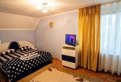 Casă cu Teren 2000 Mp în Oncea - 2