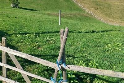 Teren Intravilan Fundata 1421Mp - 4